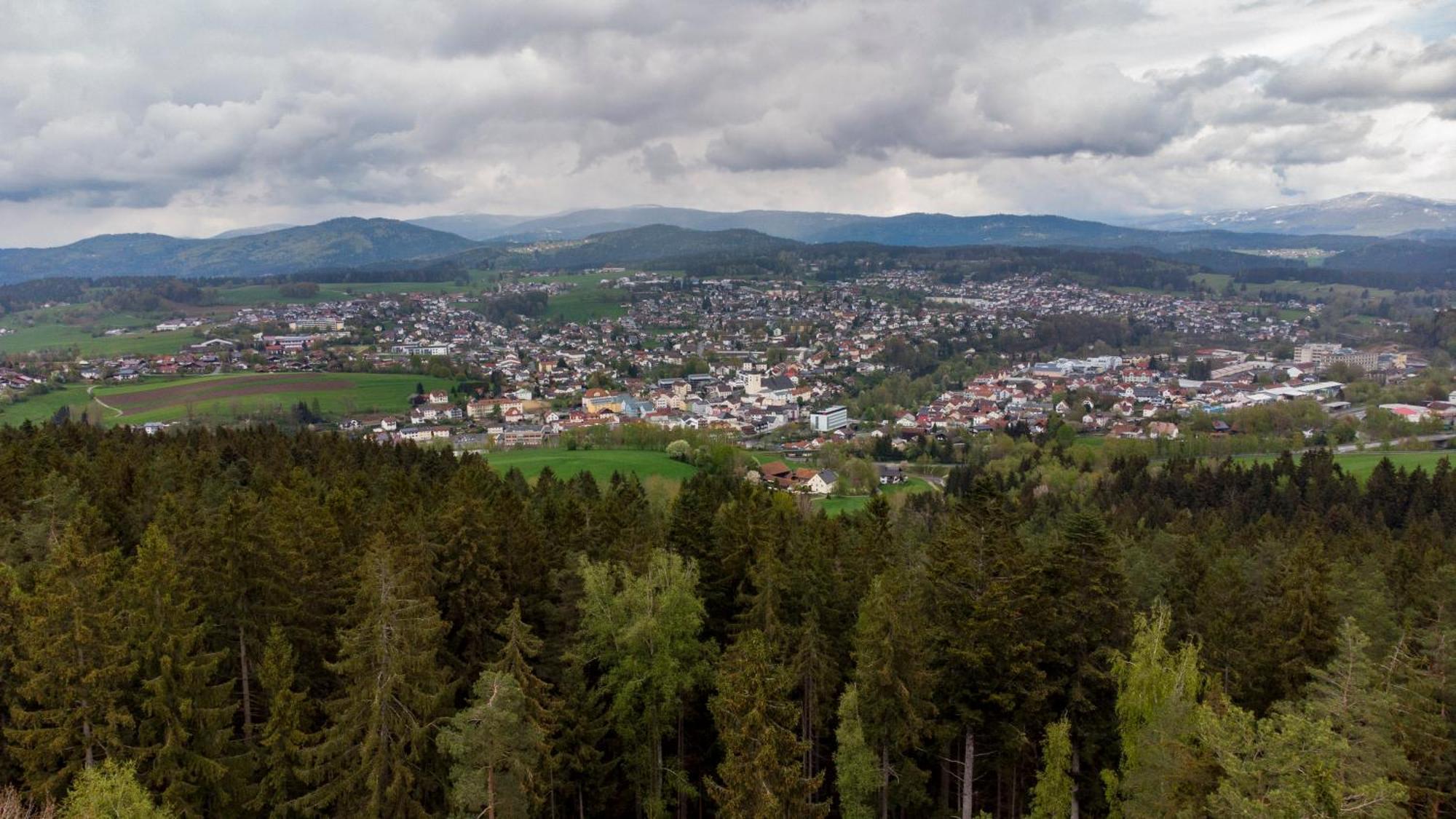Bayerwaldchalet Regen Exteriér fotografie